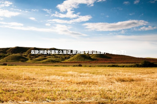 在歐洲讀書要怎么簽證,歐洲留學(xué)簽證攻略，了解一下！