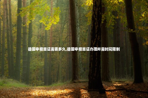 德國(guó)申根簽證需要多久,德國(guó)申根簽證辦理所需時(shí)間限制