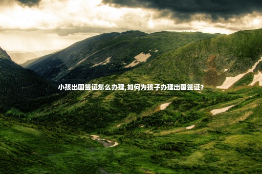 小孩出國簽證怎么辦理,如何為孩子辦理出國簽證？
