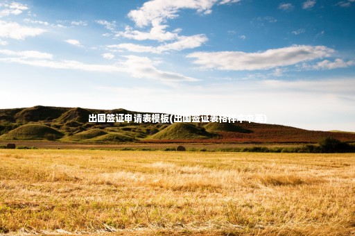 出國簽證申請表模板(出國簽證表格樣本中英)