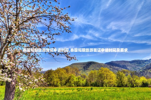 泰國短期旅游簽證申請時間,泰國短期旅游簽證申請時間及要求