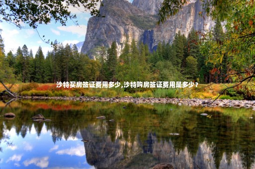 沙特買房簽證費(fèi)用多少,沙特購(gòu)房簽證費(fèi)用是多少？