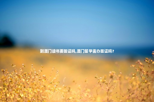 到澳門讀書要簽證嗎,澳門留學(xué)需辦簽證嗎？
