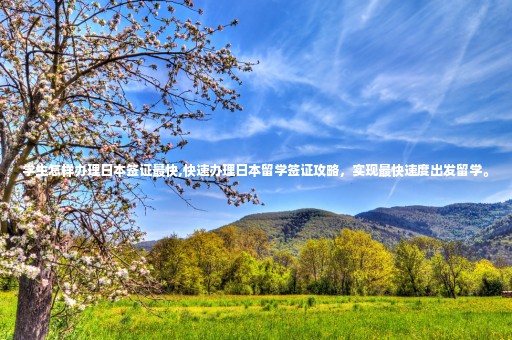 學生怎樣辦理日本簽證最快,快速辦理日本留學簽證攻略，實現最快速度出發(fā)留學。