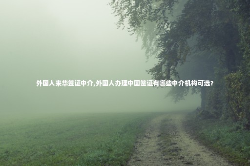 外國人來華簽證中介,外國人辦理中國簽證有哪些中介機(jī)構(gòu)可選？