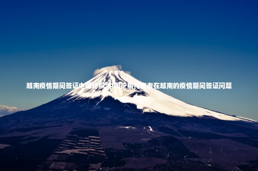 越南疫情期間簽證中國護照,中國護照持有者在越南的疫情期間簽證問題