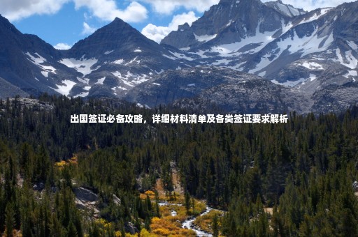 出國(guó)簽證必備攻略，詳細(xì)材料清單及各類簽證要求解析