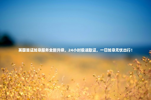 英國(guó)簽證加急服務(wù)全新升級(jí)，24小時(shí)極速取證，一日加急無(wú)憂(yōu)出行！