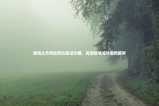 現(xiàn)場土方短駁到位簽證辦理，高效快速成功案例解析