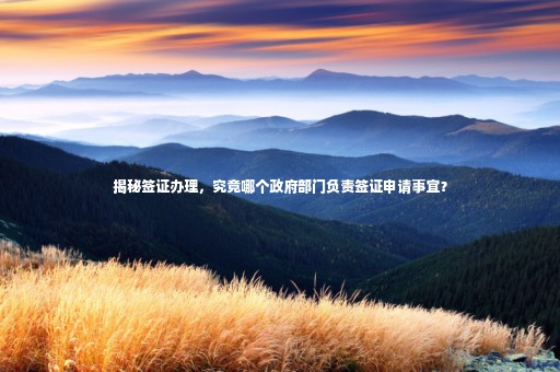 揭秘簽證辦理，究竟哪個(gè)政府部門負(fù)責(zé)簽證申請(qǐng)事宜？