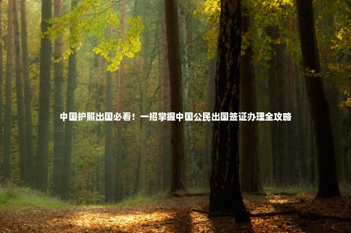 中國(guó)護(hù)照出國(guó)必看！一招掌握中國(guó)公民出國(guó)簽證辦理全攻略