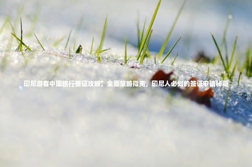 印尼游客中國旅行簽證攻略，全面策略指南，印尼人必知的簽證申請秘籍