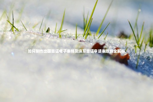如何制作出國簽證電子表格及填寫簽證申請(qǐng)表攻略全解析