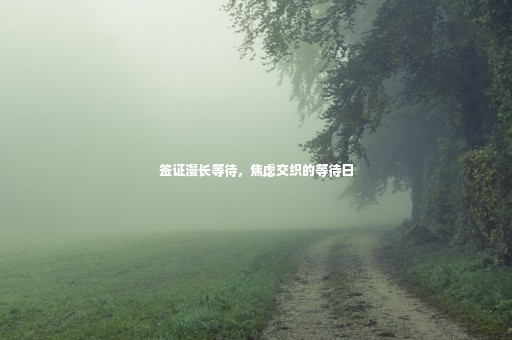 簽證漫長(zhǎng)等待，焦慮交織的等待日