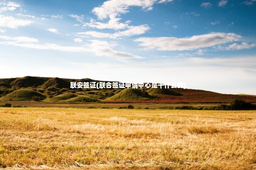 聯(lián)安簽證(聯(lián)合簽證申請(qǐng)中心是干什么的)