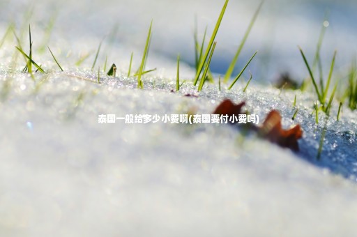 泰國(guó)一般給多少小費(fèi)啊(泰國(guó)要付小費(fèi)嗎)