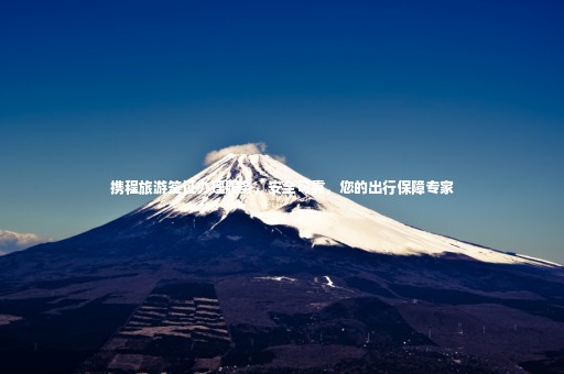 攜程旅游簽證辦理服務(wù)，安全可靠，您的出行保障專(zhuān)家