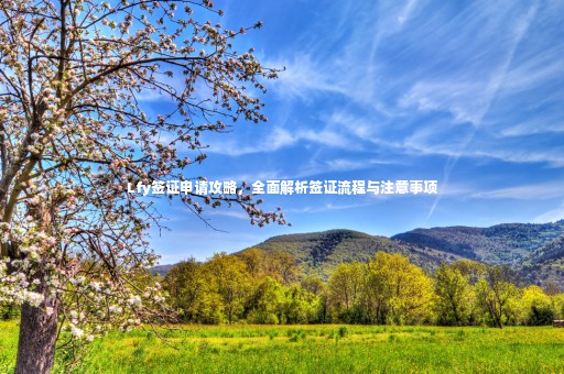 Lfy簽證申請攻略，全面解析簽證流程與注意事項