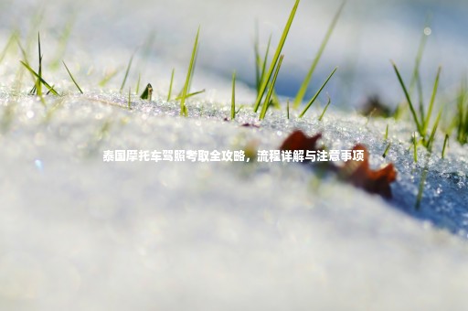 泰國摩托車駕照考取全攻略，流程詳解與注意事項
