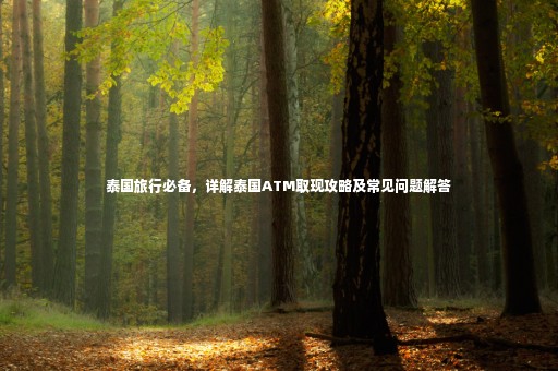 泰國旅行必備，詳解泰國ATM取現(xiàn)攻略及常見問題解答