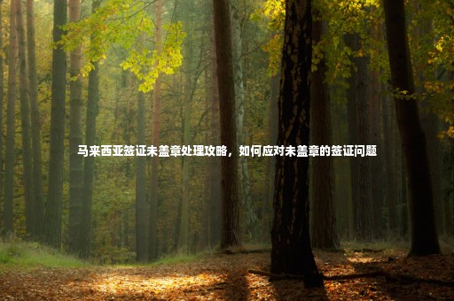 馬來(lái)西亞簽證未蓋章處理攻略，如何應(yīng)對(duì)未蓋章的簽證問(wèn)題