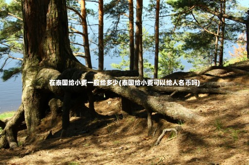 在泰國給小費(fèi)一般給多少(泰國給小費(fèi)可以給人名幣嗎)