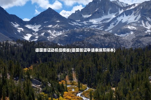 德國(guó)簽證動(dòng)機(jī)信模板(德國(guó)簽證申請(qǐng)表填寫樣本)