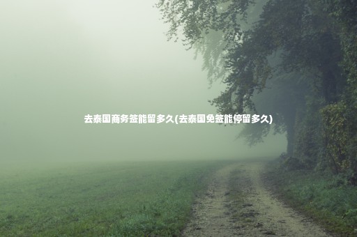 去泰國(guó)商務(wù)簽?zāi)芰舳嗑?去泰國(guó)免簽?zāi)芡Ａ舳嗑?