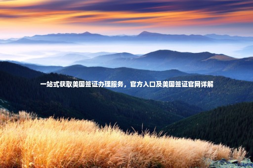 一站式獲取美國(guó)簽證辦理服務(wù)，官方入口及美國(guó)簽證官網(wǎng)詳解