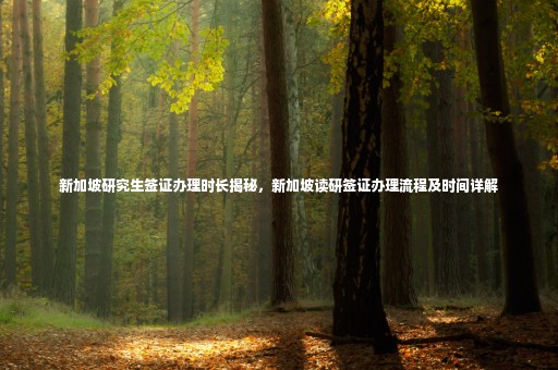 新加坡研究生簽證辦理時(shí)長(zhǎng)揭秘，新加坡讀研簽證辦理流程及時(shí)間詳解