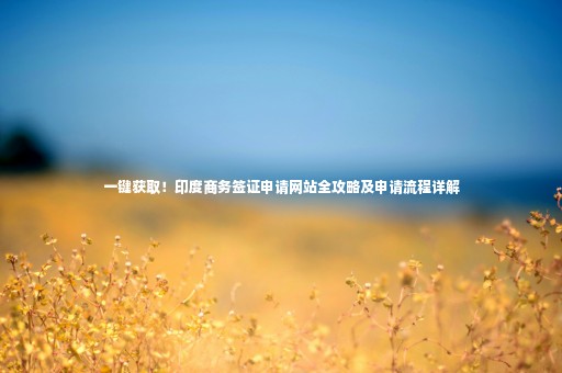 一鍵獲取！印度商務(wù)簽證申請網(wǎng)站全攻略及申請流程詳解