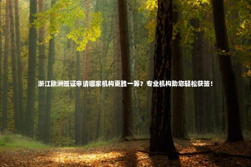 浙江歐洲簽證申請(qǐng)哪家機(jī)構(gòu)更勝一籌？專(zhuān)業(yè)機(jī)構(gòu)助您輕松獲簽！