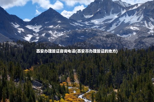 西安辦理簽證咨詢(xún)電話(huà)(西安市辦理簽證的地方)