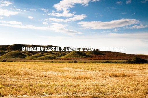 以前的簽證怎么查不到,無(wú)法查詢舊簽證信息？這里有解決辦法！