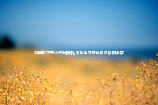 英國(guó)留學(xué)簽證金額限制,英國(guó)留學(xué)簽證資金限制要求