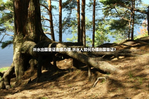 沂水出國簽證去哪辦理,沂水人如何辦理出國簽證？