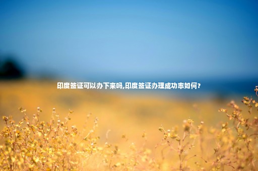 印度簽證可以辦下來嗎,印度簽證辦理成功率如何？