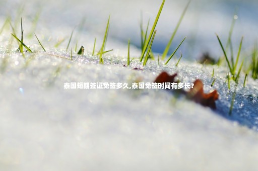 泰國短期簽證免簽多久,泰國免簽時間有多長？