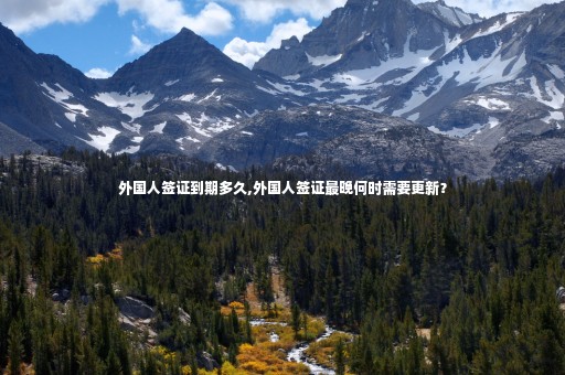 外國人簽證到期多久,外國人簽證最晚何時(shí)需要更新？