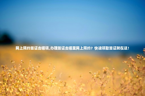 網上預約簽證去哪領,辦理簽證去哪里網上預約？快速領取簽證就在這！