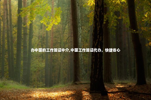 辦中國(guó)的工作簽證中介,中國(guó)工作簽證代辦，快捷省心