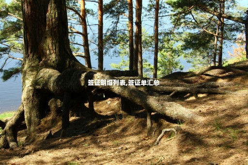 簽證明細(xì)列表,簽證單匯總