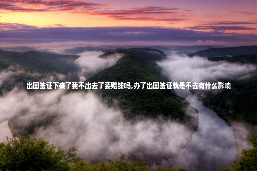 出國(guó)簽證下來(lái)了我不出去了要賠錢嗎,辦了出國(guó)簽證就是不去有什么影響