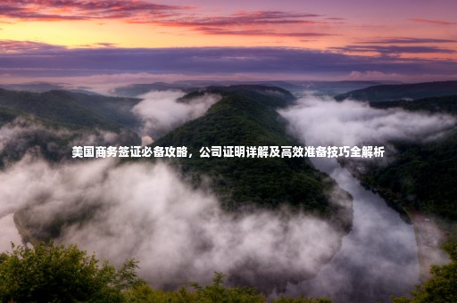 美國商務(wù)簽證必備攻略，公司證明詳解及高效準(zhǔn)備技巧全解析