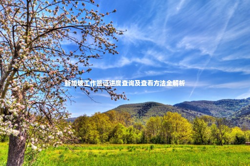 新加坡工作簽證進(jìn)度查詢及查看方法全解析