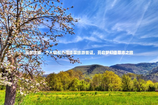高效攻略，個人輕松辦理德國旅游簽證，開啟夢幻德意志之旅