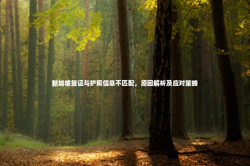 新加坡簽證與護照信息不匹配，原因解析及應對策略