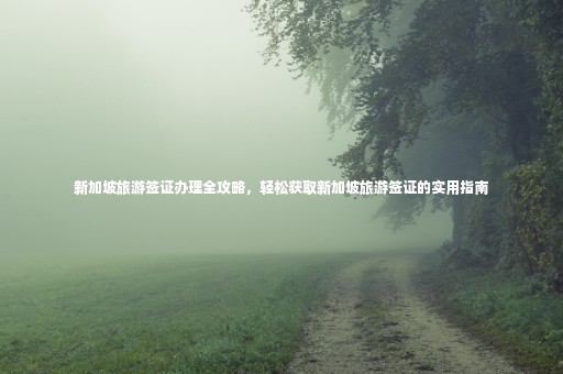 新加坡旅游簽證辦理全攻略，輕松獲取新加坡旅游簽證的實(shí)用指南