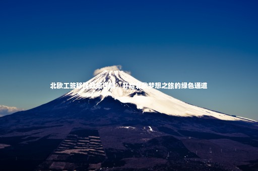 北歐工簽移民政策詳解，開啟北歐夢想之旅的綠色通道