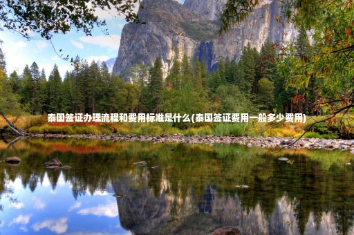 泰國簽證辦理流程和費用標準是什么(泰國簽證費用一般多少費用)